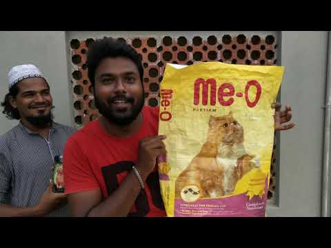 PERSIAN CAT FOOD IN TAMIL / VITAMINS AND MINERALS SUPPLEMENTS FOR PERSIAN CAT IN TAMIL