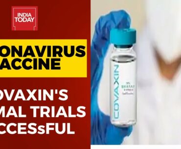 Coronavirus Vaccine Update: Animal Trials Of Covaxin Successful | Breaking News