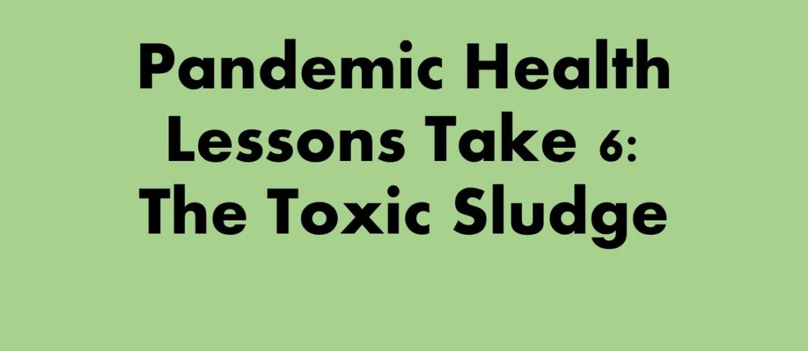 Pandemic Health Lessons Take 6: Avoiding the Toxic Soup You Live In