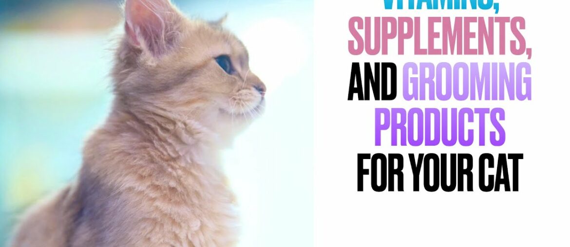 Vitamins, Supplements, and Grooming Products for your Cat