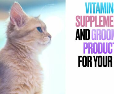 Vitamins, Supplements, and Grooming Products for your Cat