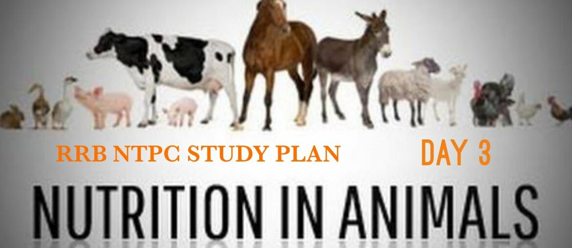 NUTRITION IN ANIMALS | GENERAL SCIENCE | RRB NTPC 2020 | STUDY PLAN | DAY 3