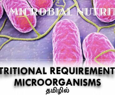 Tamil: MICROBIAL NUTRITION / Nutritional Requirements of Microorganisms / Macro and Micronutrients