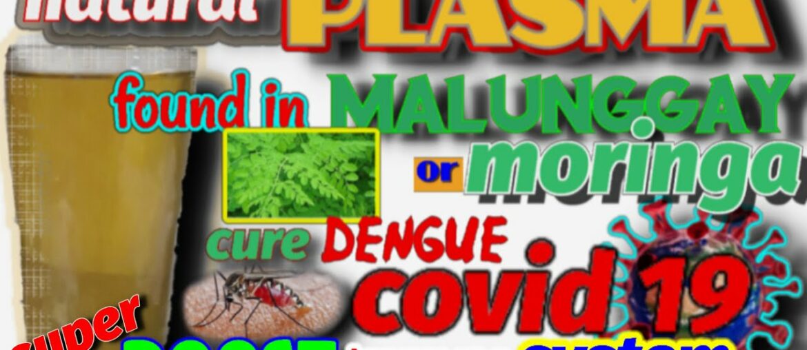 PANG PATAAS NG PLATELET COUNT, BOOST IMMUNE SYSTEM, NATURAL PLASMA, DENGUE, COVID-19