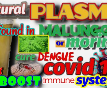 PANG PATAAS NG PLATELET COUNT, BOOST IMMUNE SYSTEM, NATURAL PLASMA, DENGUE, COVID-19