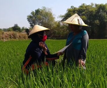 SOSIALISASI DAN PEMBERIAN VITAMIN C KEPADA MANULA YANG RENTAN TERINFEKSI VIRUS COVID 19