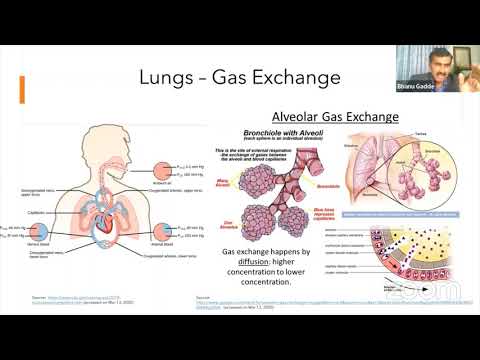 Discussion on Post COVID Complications | Vitamin D3 Role & Maintenance |  Dr Bhanu Gadde, Pharm.D