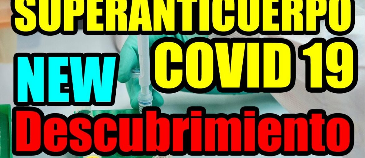 Coronavirus.La alpaca la cura, descubren algo impresionante sobre esta enfermedad