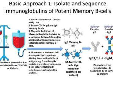 Proposed Solution to COVID-19 and Mutant Forms Based on Mucosal Immunity.