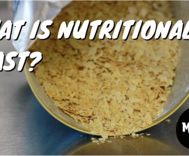 What is Nutritional Yeast / Nooch?