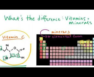 What's the Difference: Vitamins and Minerals