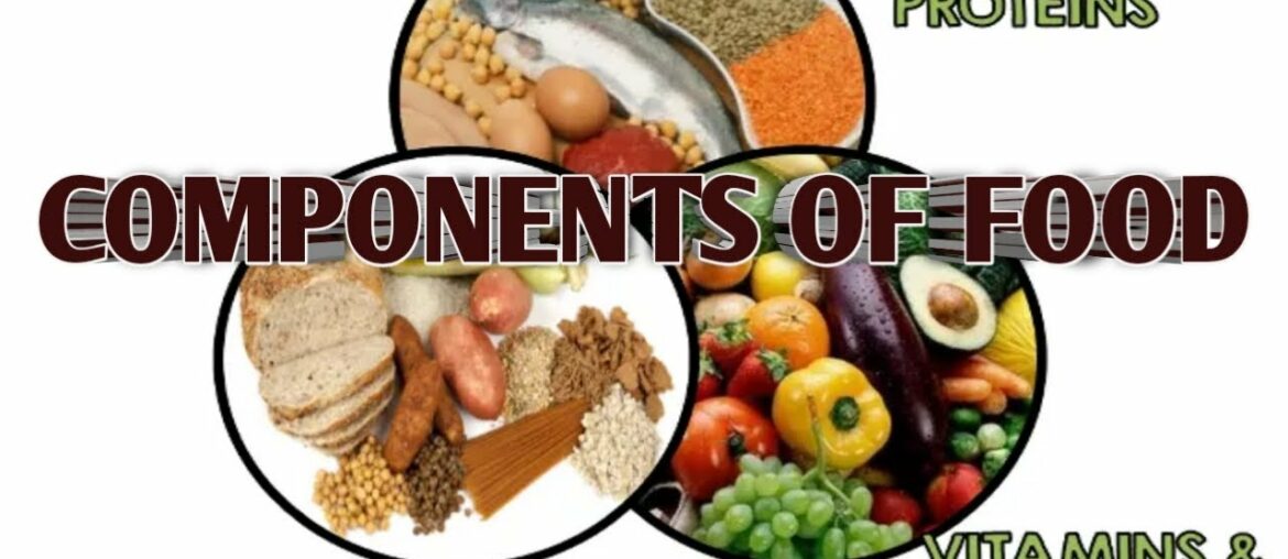 Class 5 to 7 Science Chapter 2 Components of Food Explanation/Class 5to7 protein vitamin and mineral