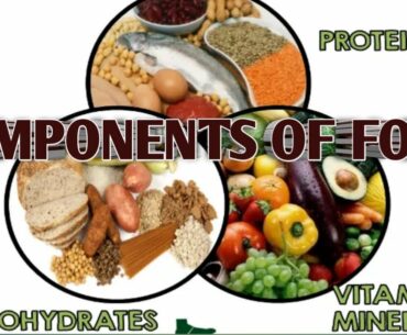 Class 5 to 7 Science Chapter 2 Components of Food Explanation/Class 5to7 protein vitamin and mineral