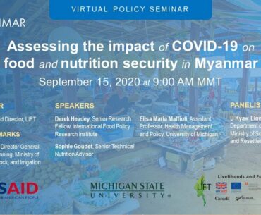 Virtual Policy Seminar: Assessing the impact of COVID-19 on food and nutrition security in Myanmar