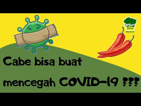 Yukk Jaga daya tahan tubuh dengan Konsumsi Vitamin C