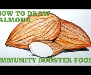 Drawing | HOW TO DRAW ALMOND | IMMUNITY BOOSTER FOOD | coronavirus - food to boost IMMUNITY