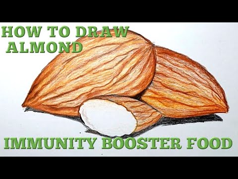 Drawing | HOW TO DRAW ALMOND | IMMUNITY BOOSTER FOOD | coronavirus - food to boost IMMUNITY