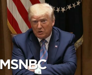 Math On Trump Covid Strategy Has Millions Dying Before It Works | Rachel Maddow | MSNBC