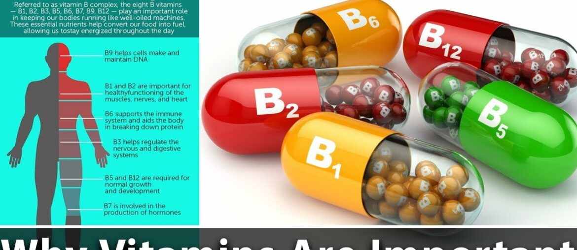 Why Vitamins Are Important? | Benefits of Vitamin B12, B1 & B2 | Dr. Ayesha Nasir | SM2Q