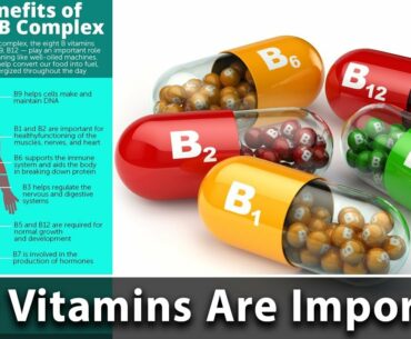 Why Vitamins Are Important? | Benefits of Vitamin B12, B1 & B2 | Dr. Ayesha Nasir | SM2Q