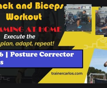 Back and biceps workout Ep. 26 | Posture Corrector Basics