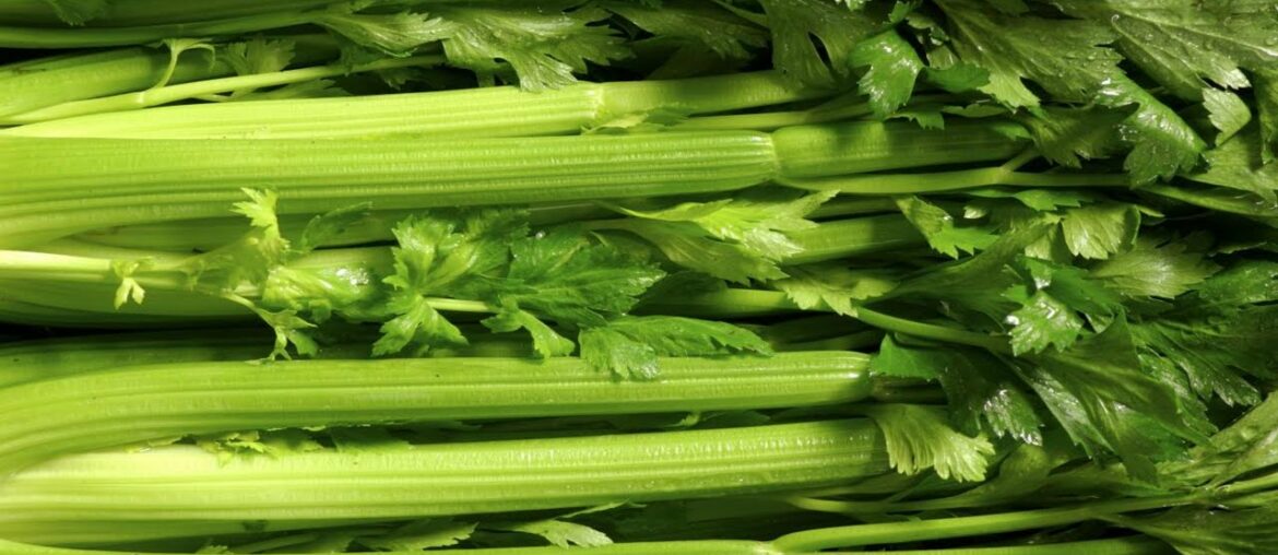 THE MEDICINE FOODS OF GOD | Celery Is A Crunchy Superfood