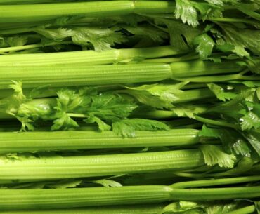 THE MEDICINE FOODS OF GOD | Celery Is A Crunchy Superfood