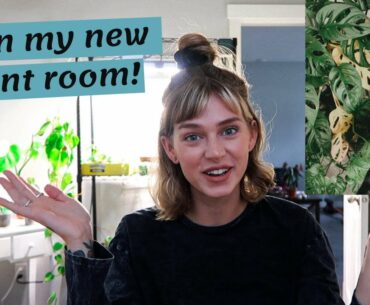 My New Plant Room (In Progress!) + How My Plants Are Doing After The Move