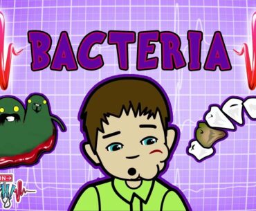 Operation Ouch - Bacteria & Infections | Immune System