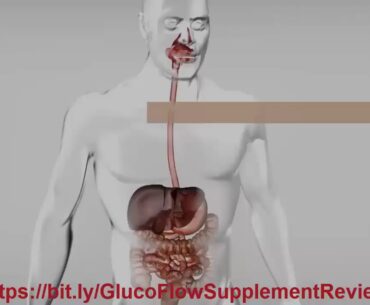 GlucoFlow   GlucoFlow Pills Supplement Reviews