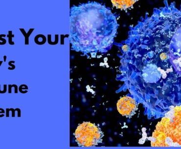 The Corona Virus Explained - How to boost your Body's Immune System