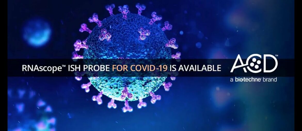 2020 Sept 4 - Incorporation & Automation of RNAscope ISH into COVID 19 Viral Pathogenesis Research