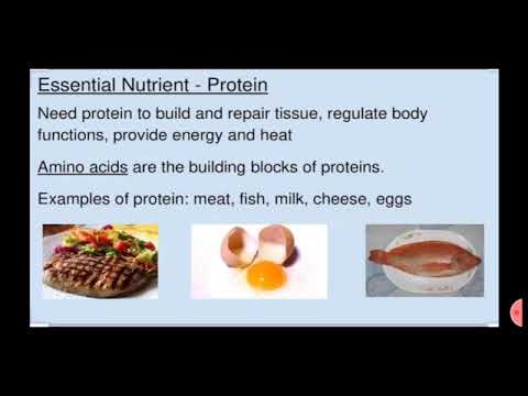 Std vi science chapter no 7 Nutrition and diet ( part I )