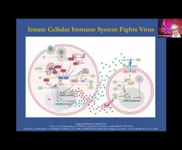 Rapid and Rational COVID-19 Drug Cocktail Discovery