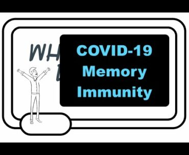 Coronavirus Immunity: Understanding Memory B And T Cell Immunity, Cross Immunity, And Vaccination.