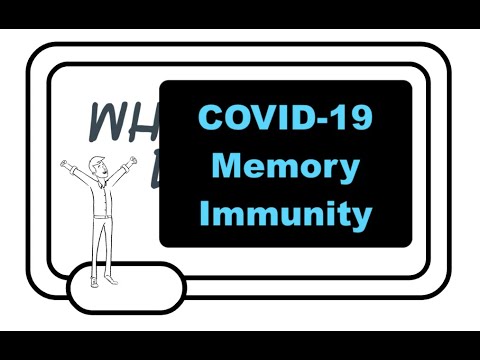 Coronavirus Immunity: Understanding Memory B And T Cell Immunity, Cross Immunity, And Vaccination.