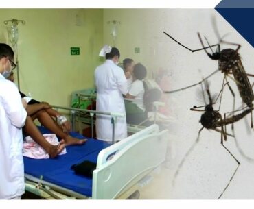 Dengue may provide Covid-19 immunity - study