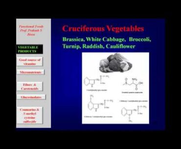 Career College: COVID19: Nutrition in Relation to Immunotherapy and Immunomodulation