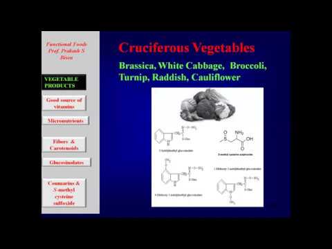 Career College: COVID19: Nutrition in Relation to Immunotherapy and Immunomodulation