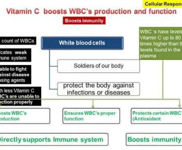 Vitamin C in Immunity  22nd Sept 2020