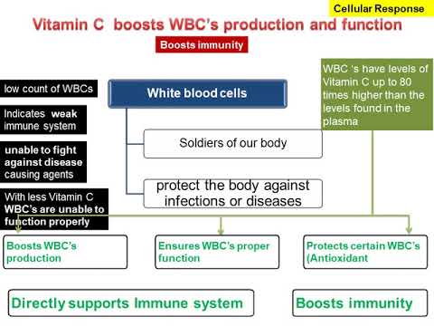 Vitamin C in Immunity  22nd Sept 2020