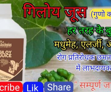 Giloy Juice || Immunity Booster || Ayurvedic Oshadi || Allrounder of Disease