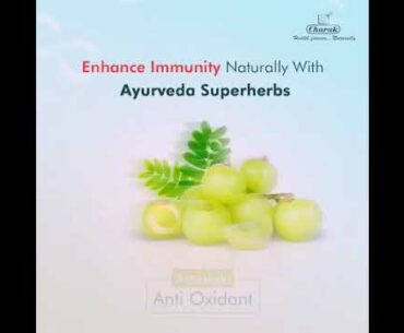 Remedies to increase your immunity...very helpful during Corona pandemic...must watch...#UNKNOWNGIRL