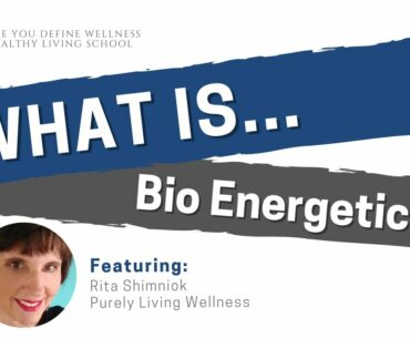 What is Bio-Energetics with Rita Shimniok