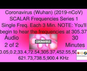 COVID-19 Coronavirus (Wuhan) (2019-nCoV) Rife SCALAR Single Freq. Audio 2 of 2 Energy Healing Audios