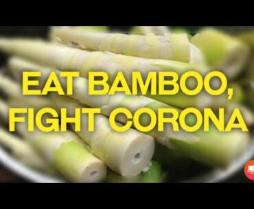 Bamboo Shoots Among Cheapest Immunity Boosters To Fight Against COVID 19