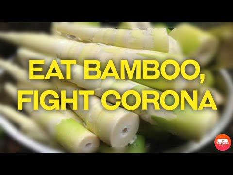 Bamboo Shoots Among Cheapest Immunity Boosters To Fight Against COVID 19