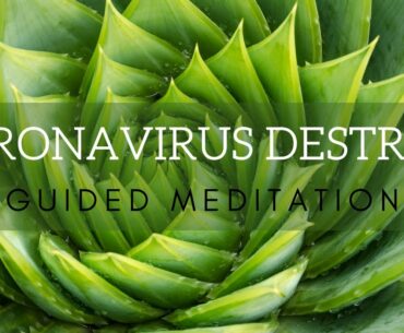 Coronavirus Destress Guided Meditation | Inner Peace | Body Calm and Mind Relax | Immune Boost