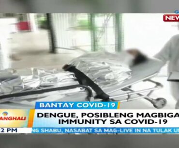 BT: Dengue, posibleng magbigay immunity sa COVID-19