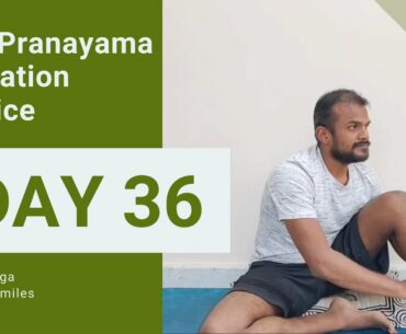 Daily Pranayama & Meditation Practice @5.30Pm | Day 36 | #covid19 #corona | happy Omyoga